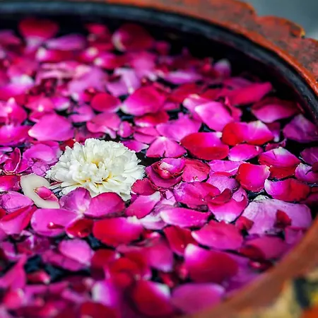 Relais & Chateaux Crespi فندق 5*